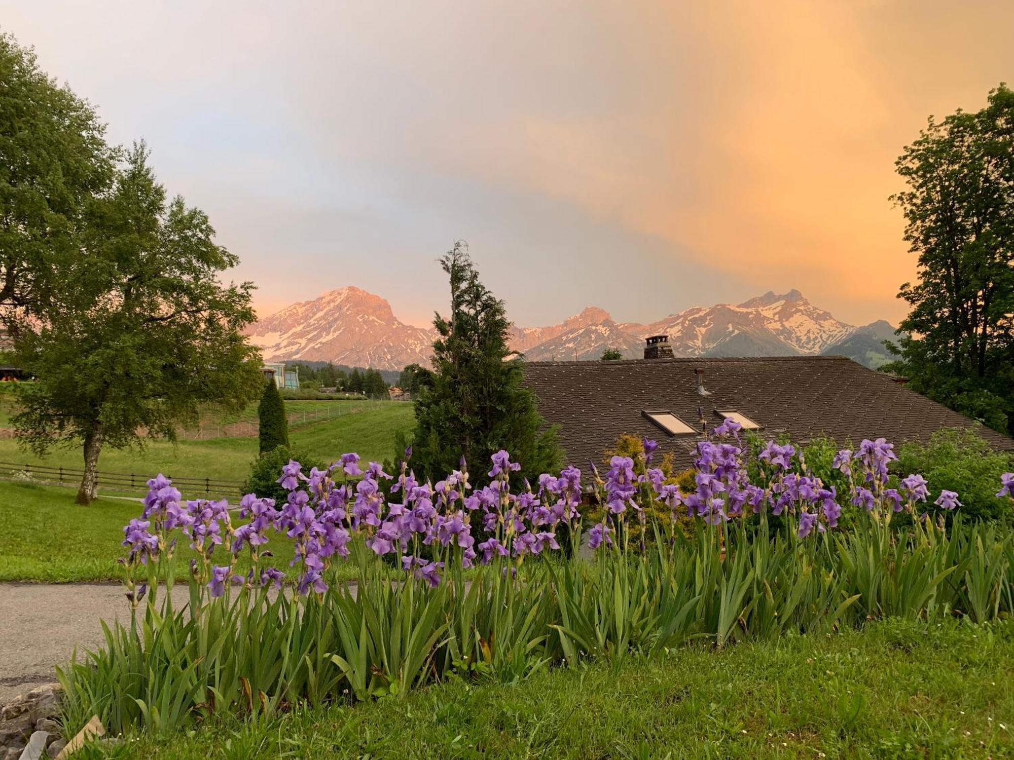 Chalet La Renarde Villars-sur-Ollon Quarto foto